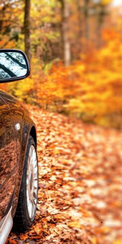 revisión coche en otoño