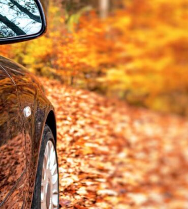 revisión coche en otoño