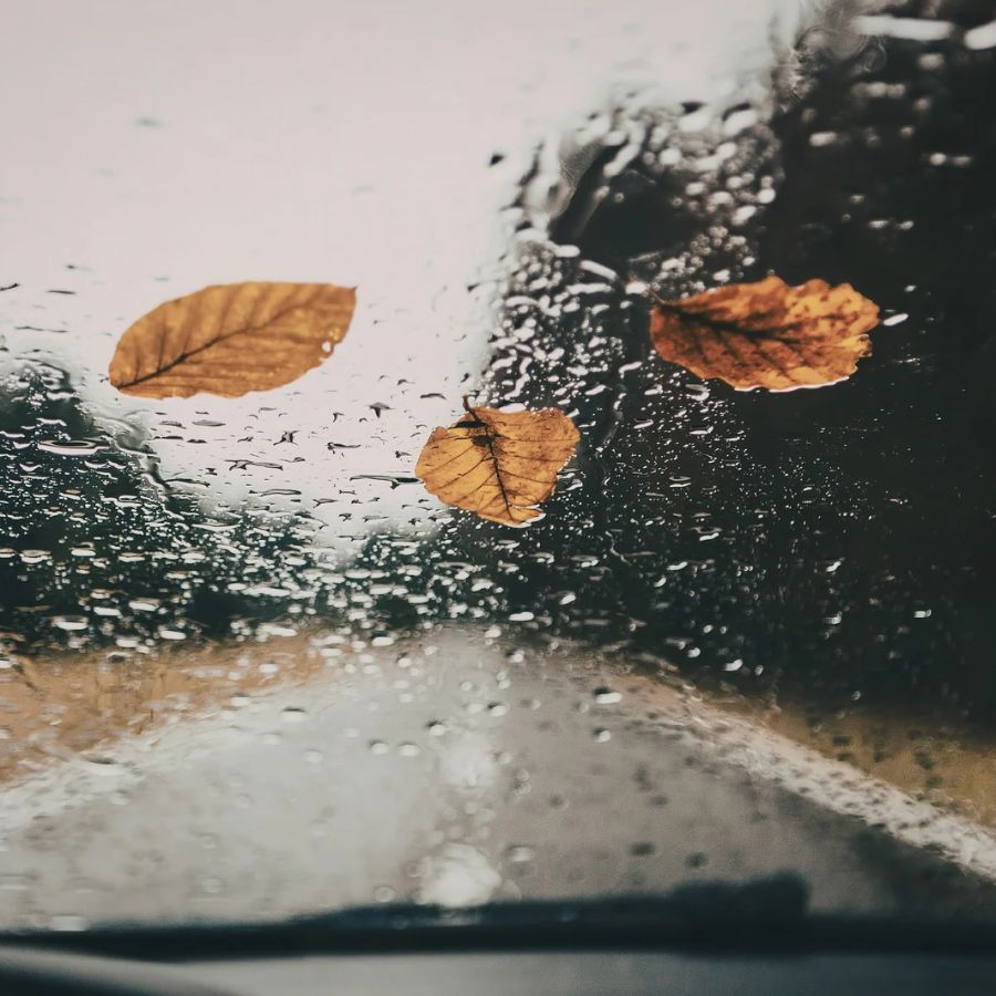 Revisión del coche en otoño en A Coruña